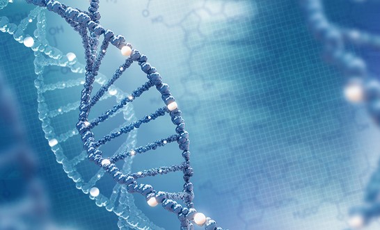 Ban on the use of genetic test results in life insurance underwriting